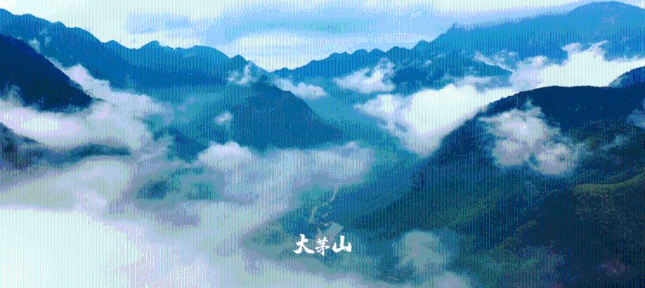 建设现代化产业体系国资国企要多作贡献