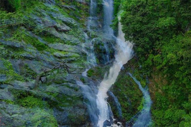 收藏好这组9宫格海报!明日去成博新展寻宝