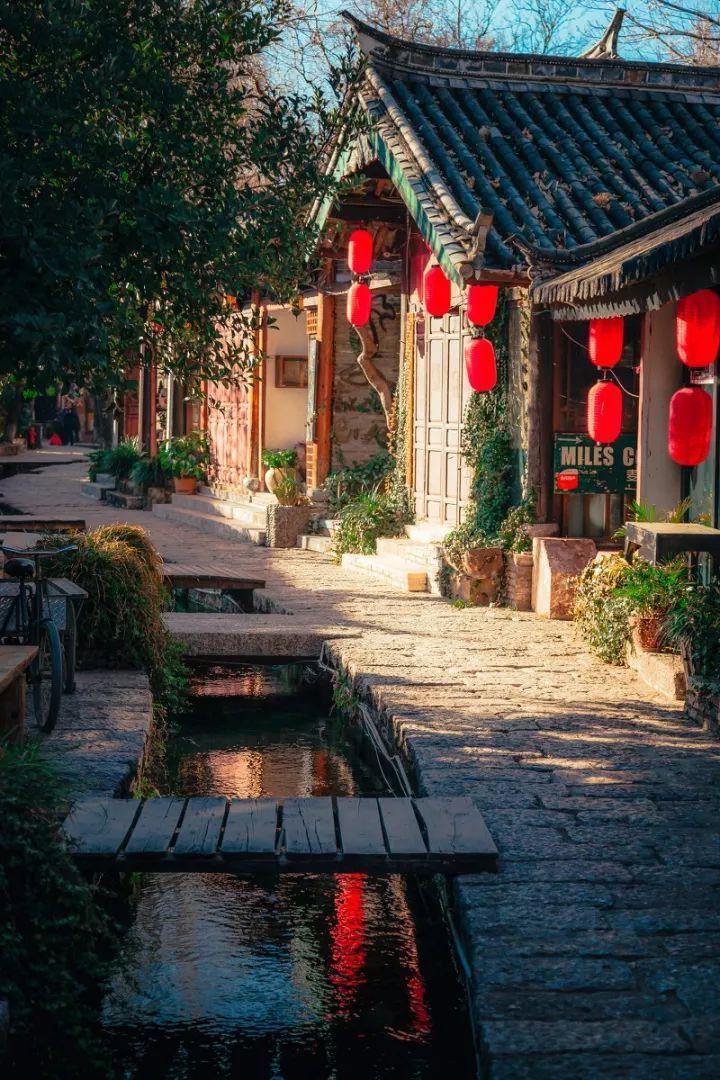 多菌灵浸泡后的多肉可以放在卧室吗？游戏画面